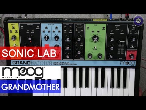 Moog Grandmother image 2