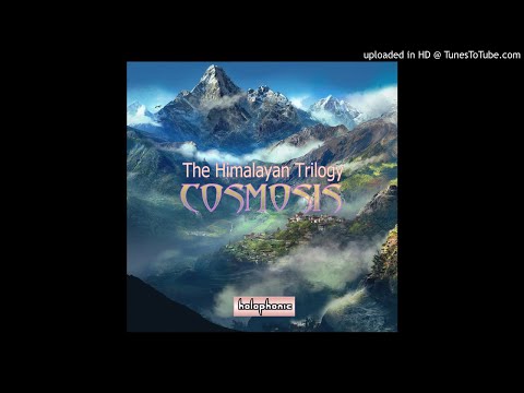 Cosmosis - Parvati Pines