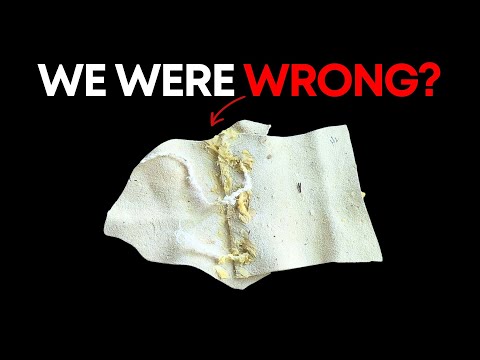 How Did Neanderthals Survive The Ice Age Without Gore-Tex Fabric?
