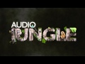 Music 2008 Breakbeat Instrumental AudioJungle