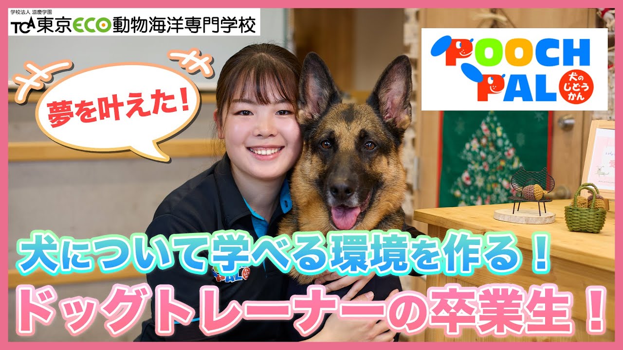 犬のじどうかんPOOCH PALでドッグトレーナーとして活躍する卒業生にインタビュー！