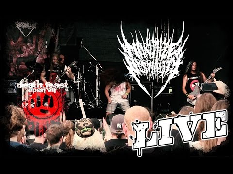 Maximize Bestiality LIVE @ Deathfeast Open Air 2016 - Dani Zed - Brodequin Illdisposed