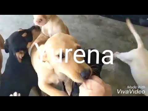 Yurena. Ace-Algeciras 2019