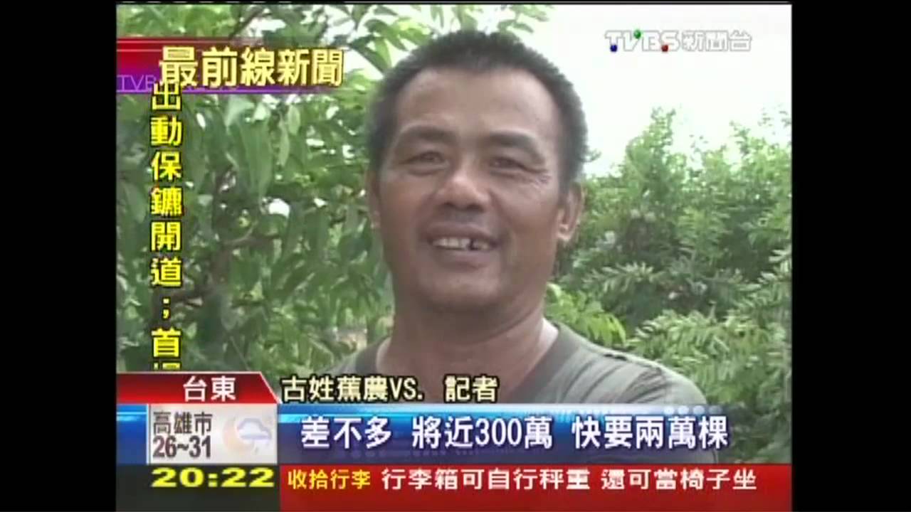 救救農民!蕉農損失300萬 跪求總統