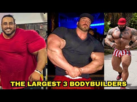 Meet The 3 Biggest Bodybuilders In The World.