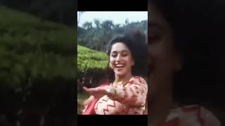 Madhuri Dixit ❤️⭐ || Dekha Hai Pehli Baar (Song) || Alka Yagnik #shorts #short #viral