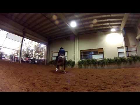 NRHA FUTURITY 2013