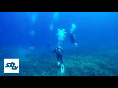 SBTV - ZAVRŠEN JOŠ JEDAN TEČAJ RONJENJA - 20.10.2020.