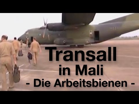 C-160 Transall: Arbeitsbienen für Mali (2016)