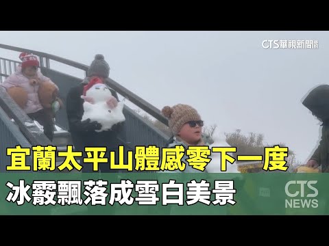 宜蘭太平山體感零下一度　冰霰飄落成雪白美景