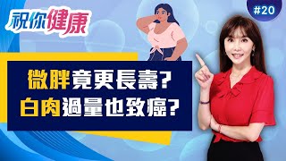 「微胖」竟更長壽? 營養不良比生病更恐怖!  ft.張適恆 譚敦慈 夏子雯 Kiwi｜20260118｜祝你健康 EP20