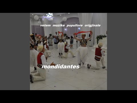 Ti o det o uj i mjelmet