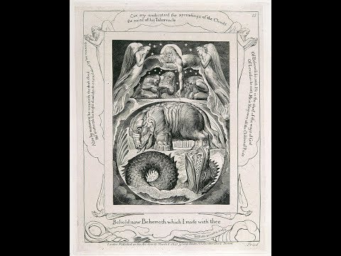 Jung’s Relevance to Religion? Everything! ما هي علاقة (علم النفس بمنظور د. يونغ) مع الدين؟ "كل شيء"