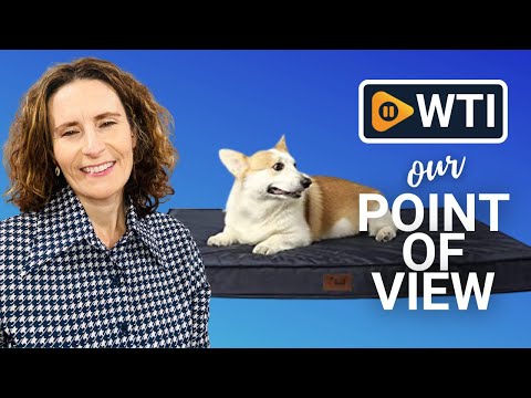 Tail Stories Outdoor Dog Beds - WTI product video review