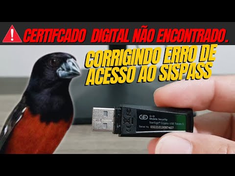 Vídeo: Ibama: dúvidas de login e acesso aos serviços