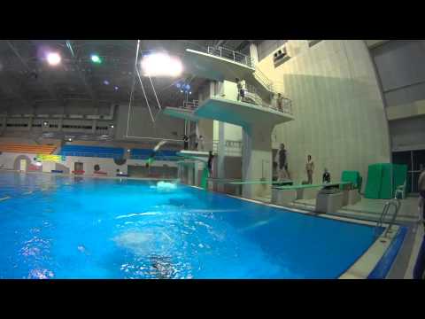 DjDivingMasters 141202 1