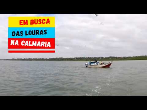 🐠 Veja o peixe que pegamos no mar!