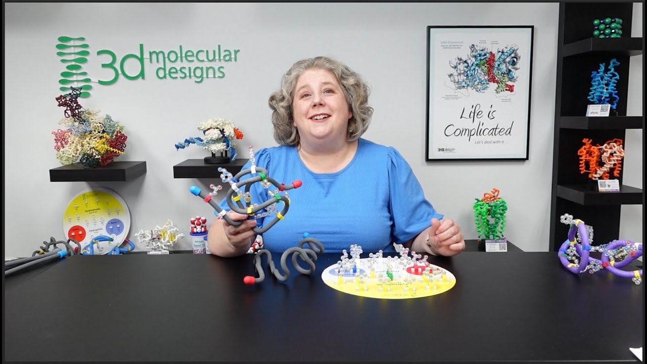 The Amino Acid Starter Kit with Modeling Ties