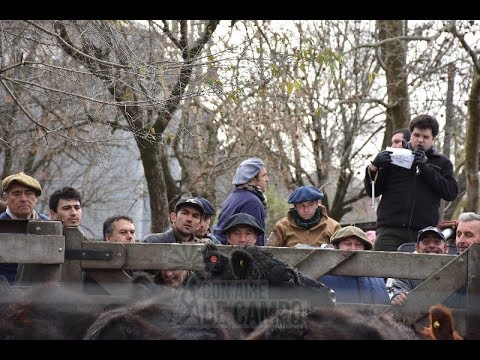 Resumen del remate de Martín G: Lalor - Viernes 5 de julio de 2019 - Rauch