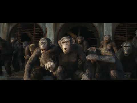 Noa Vs Proximus Caesar  Ending Fight scene | Hd quality |Kingdom of the planet of the apes ((2024))