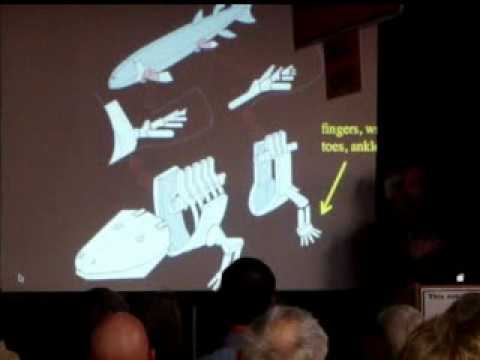 Introducing Tiktaalik, Your Inner Fish - Part 1