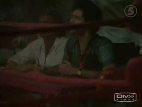 Miami Vice Foxyboxing