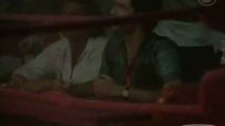 miami vice foxyboxing