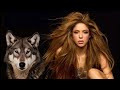 Shakira She Wolf 2025 Version