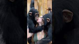 Monkey and Gorgeous Girl Share Unbelievable Kiss!&quot; #shortsvideo #viral #love #monkey