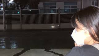 우효 - 토끼탈 cover