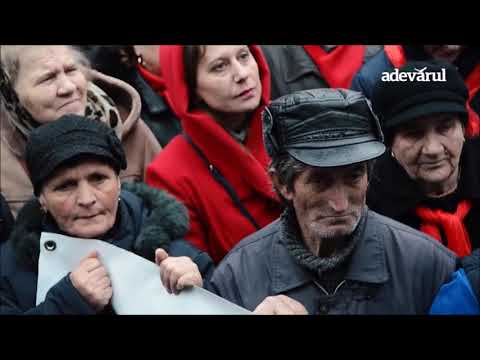 BRIGADA 2 - Pâine și salam