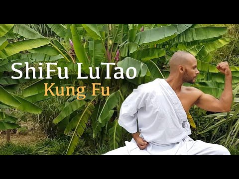 #1 ShiFu LuTao : spiritualité
