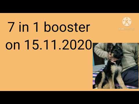 7 in 1 vaccination of my kandy