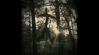 #sorts #edit the blair witch project 1999 vs Blair Witch 2016||movie edit