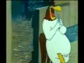 Leghorn singing 