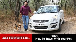 How To - Travel with Pet in car - Autoportal