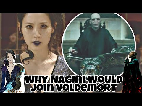Why Nagini would join Lord Voldemort [ Harry Potter Theory ] || therealaryananand ||