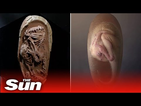 YouTube Thumbnail