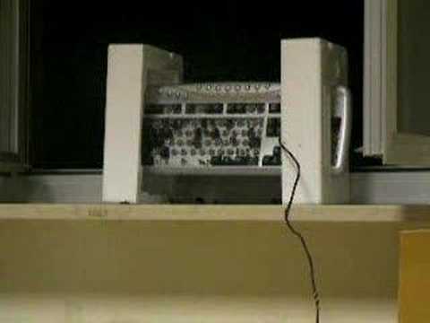 Delirio Goriziano part.2