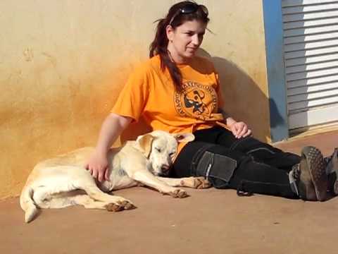 KAZSHELTER  Mama Mia and Fotini