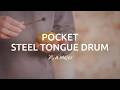 Meinl Sonic Energy Pocket Steel Tongue Drum Gold A-Dur thumbnail 9