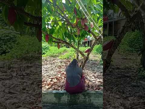 bolak balik di guyur air