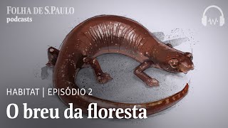 Miniatura do vídeo