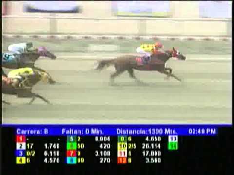 Resumen Sabado, 23 de Marzo de 2013 - La Rinconada