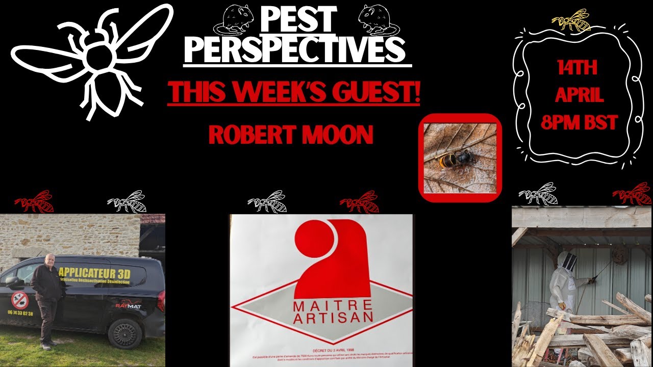 Asian Hornets, Termites & The Future of Pest Management with Robert Moon | Pest Perspectives