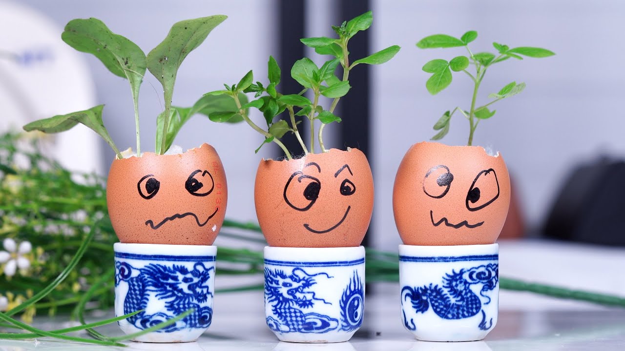 5 Fun STEM Activities