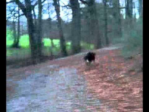 Devaki, Shelby und Maja