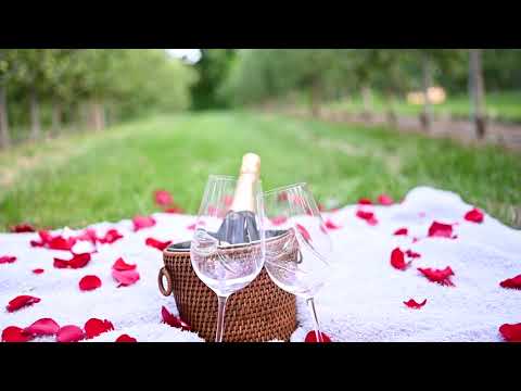 Promotional video thumbnail 3 for Steve Broy Photography