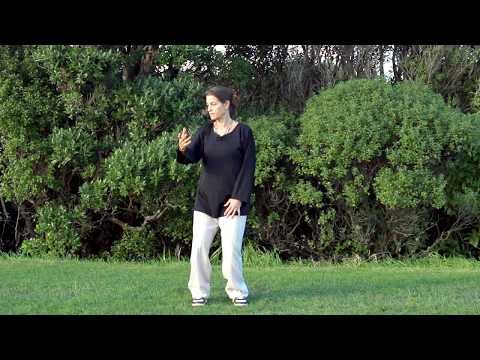 Qigong 5 Minutes a Day - Spinning the Silk Wheel - For Frozen Shoulder