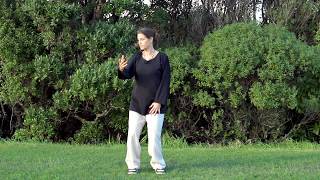 Qigong 5 Minutes a Day - Spinning the Silk Wheel - For Frozen Shoulder
